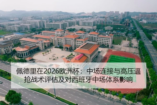 佩德里在2026欧洲杯：中场连接与高压逼抢战术评估及对西班牙中场体系影响
