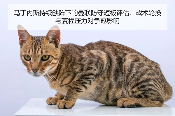 ma-ding-nei-si-chi-xu-que-zhen-xia-de-man-lian-fang-shou-duan-ban-ping-gu-zhan-shu-lun-huan-yu-sai-cheng-ya-li-dui-1-514.jpg